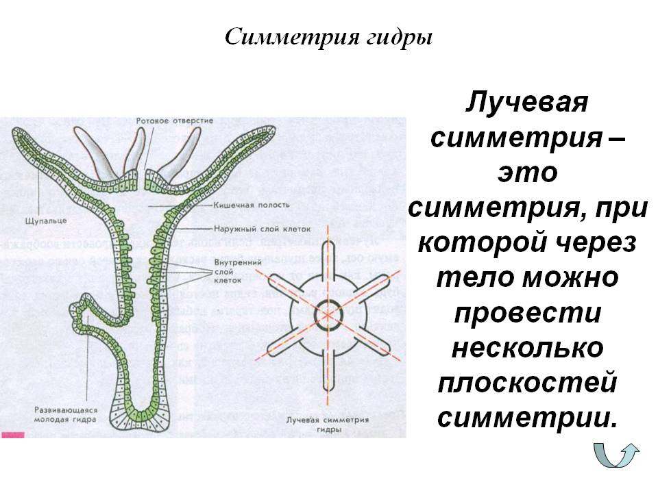 Когда заработает кракен