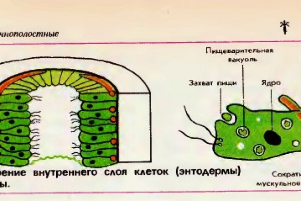 Кракен оренбург официальный сайт