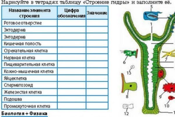 Кракен магазин зеркало