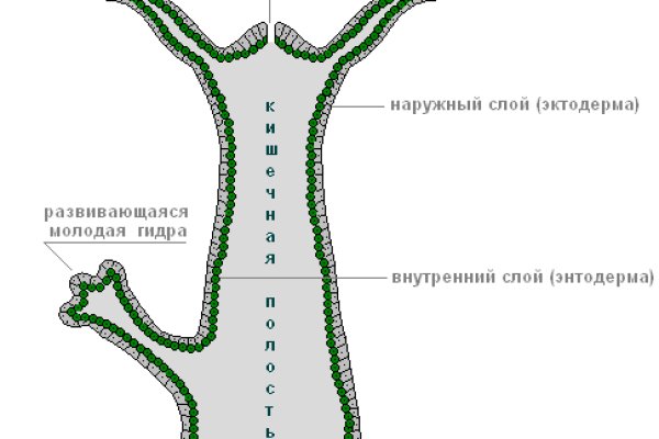 Кракен ссылка 2025